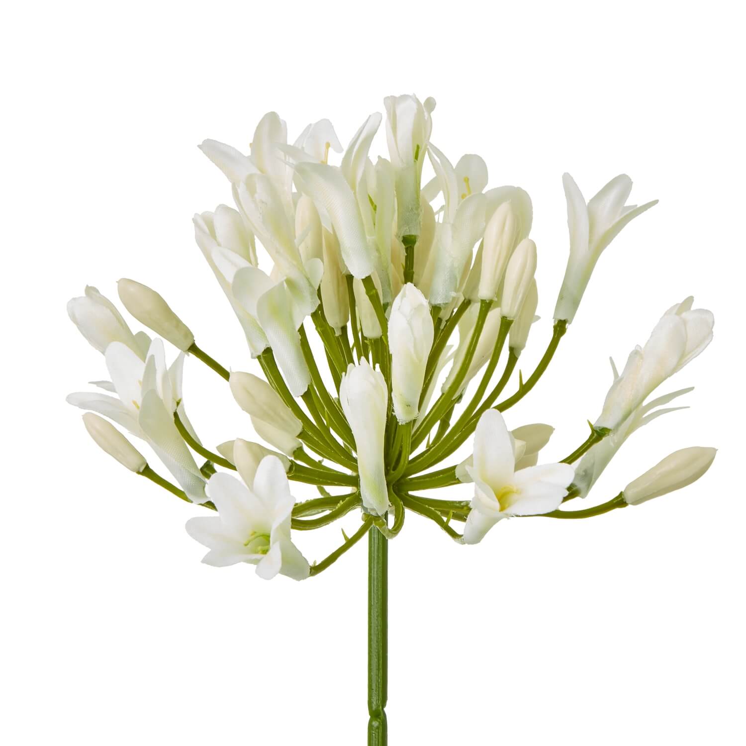 Cream Agapanthus Artificial Flower Stem