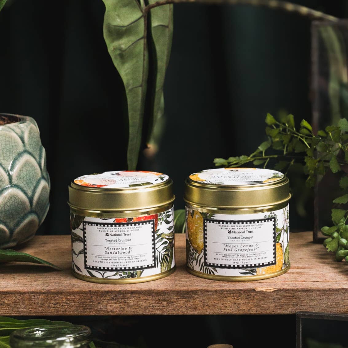 Nectarine &amp; Sandalwood Candle in a Matt Gold Tin