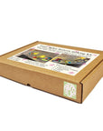 Fairy lights lantern making kit