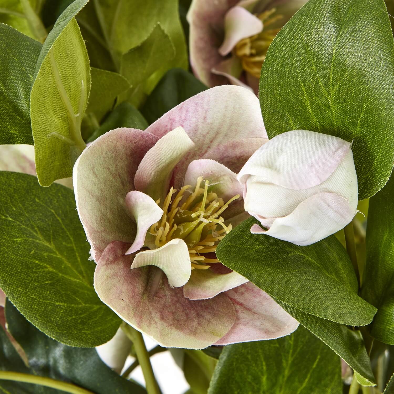 Faux Variegated Pink Hellebore in Ceramic Pot