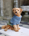 Blackface Sheep Dog Jumper in British Wool