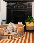 Pink, Burgundy, Navy, Woven Dog Pet Basket