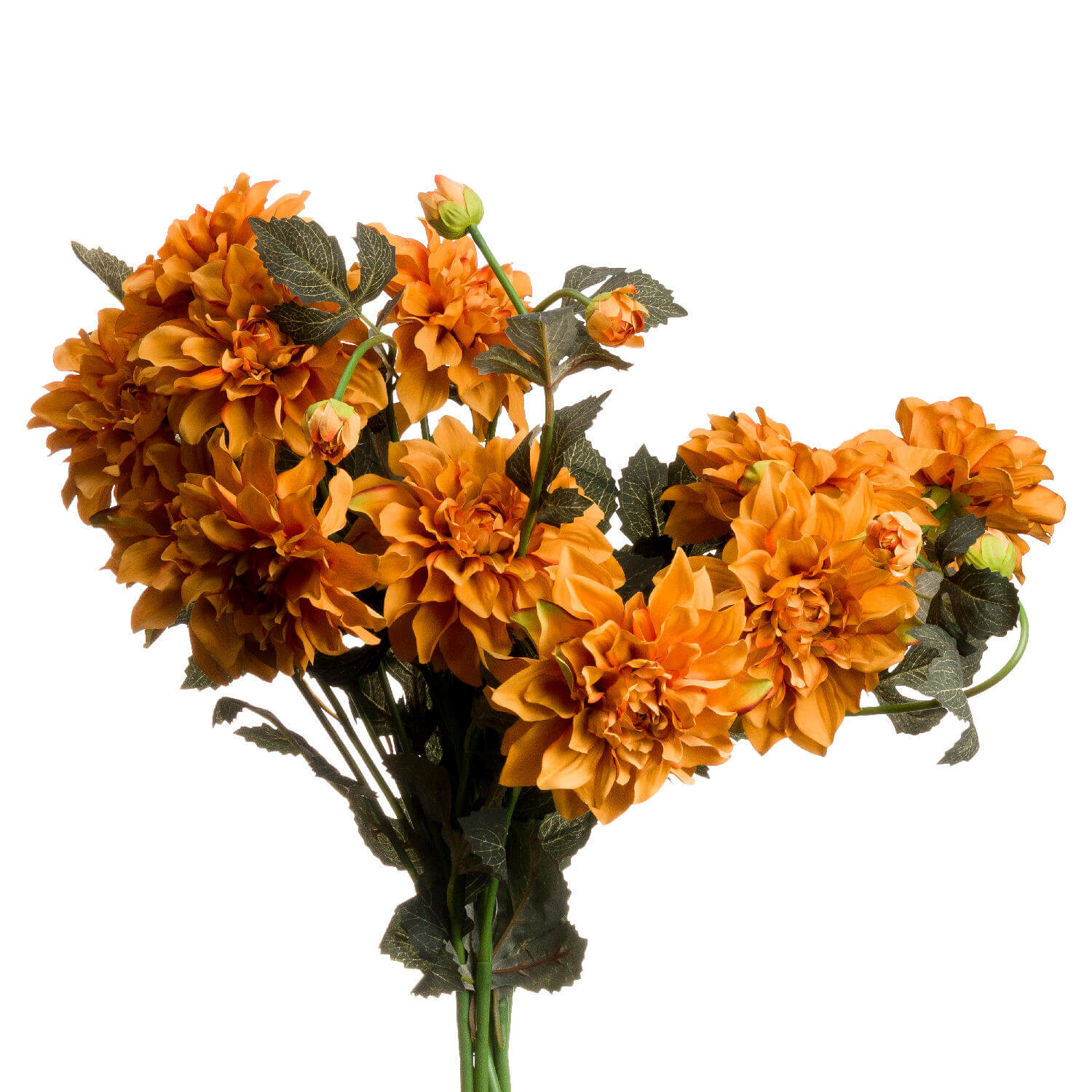 Vibrant Orange Dahlia Floral Spray | Fresh Cut Blooms