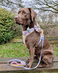 Pastel Petals - Leather Dog Lead