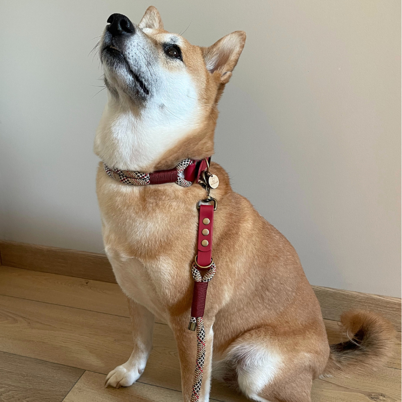 Kitsuné Tartan Red Paracord &amp; Biothane Dog Collar