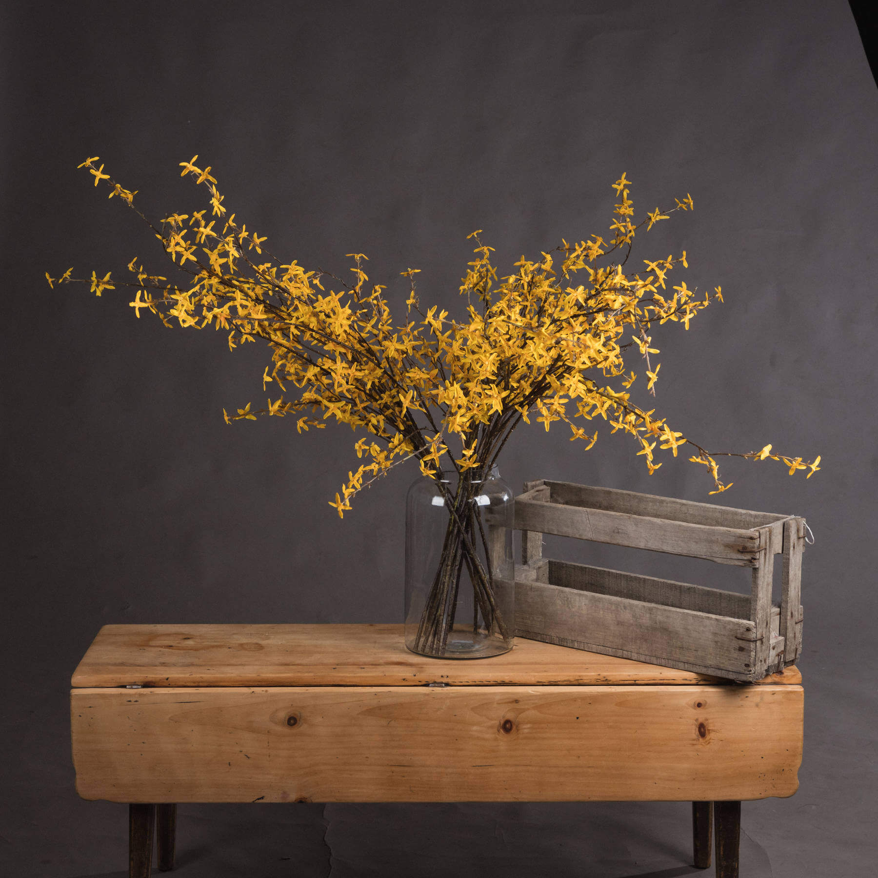 a bold close-up of vibrant yellow forsythia blooms against a dark leather bag