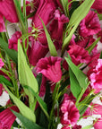 Pack of 6 x 100cm Trumpet Artificial Flower Stem Fuchsia Pink-2