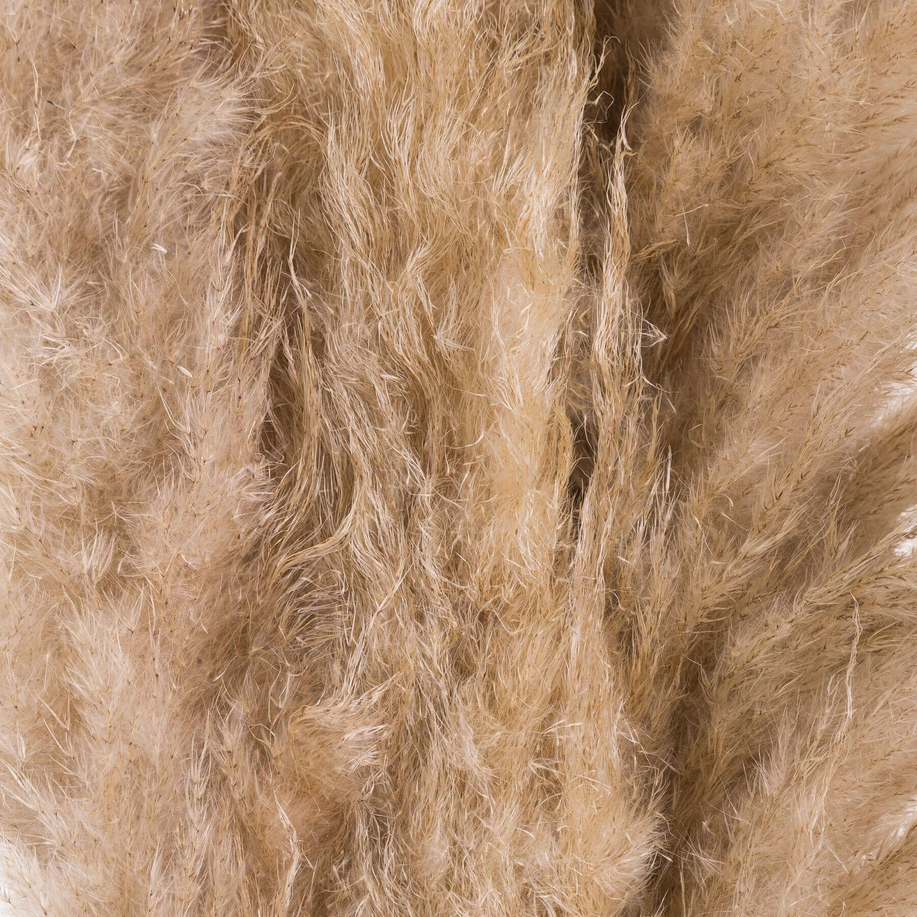 Soft Butter Pampas Grass for Delightfully Stylish Home Accents