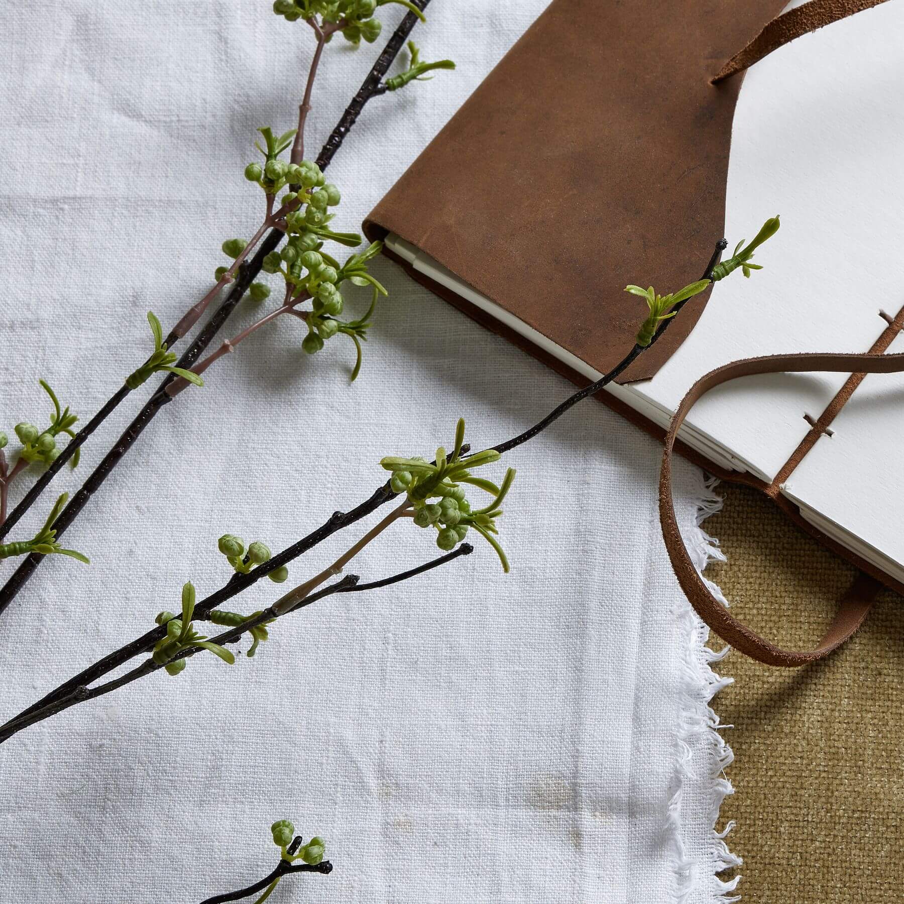 Fresh Green Berry Willow Stem | Natural Home Decor
