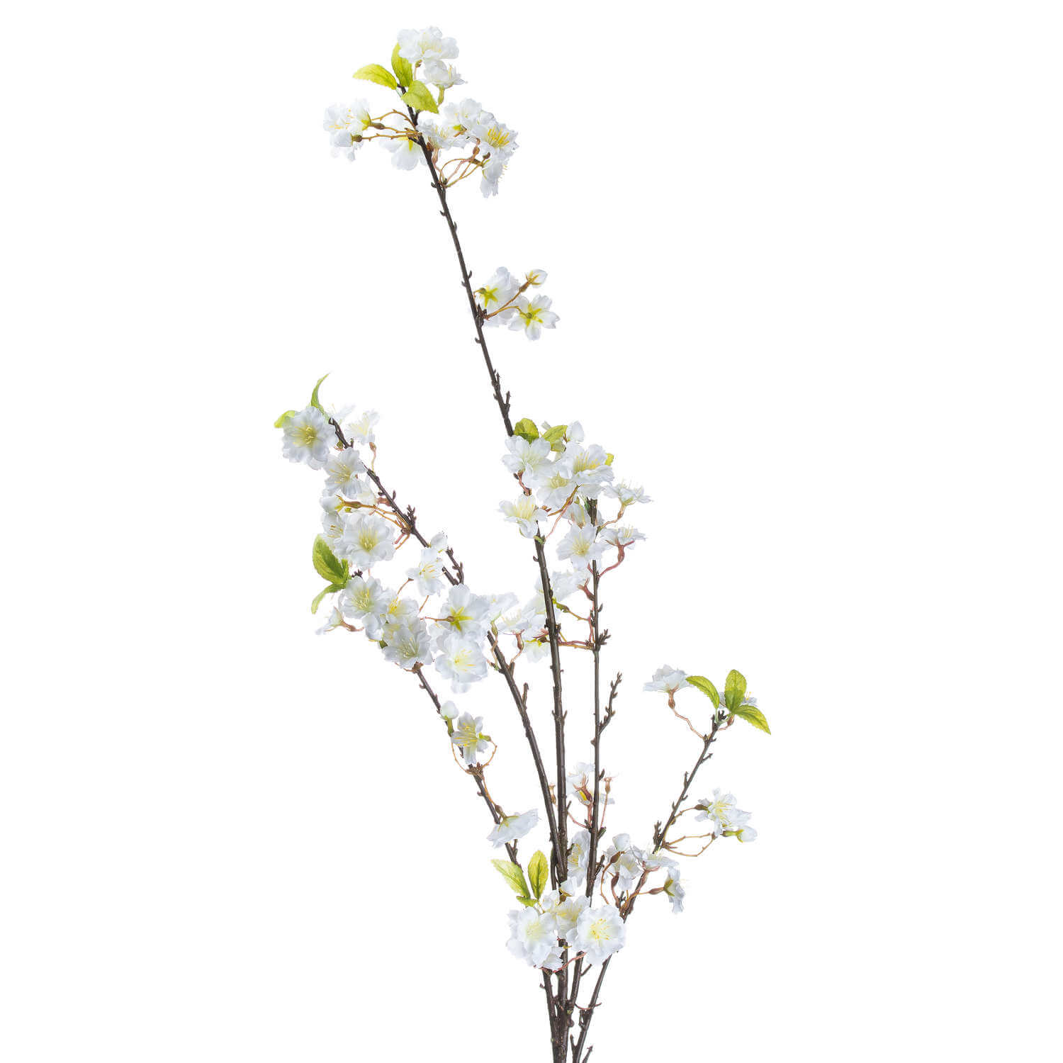 Soothing White Cherry Blossom Mist | Floral Fragrance