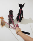 Glitter Lead