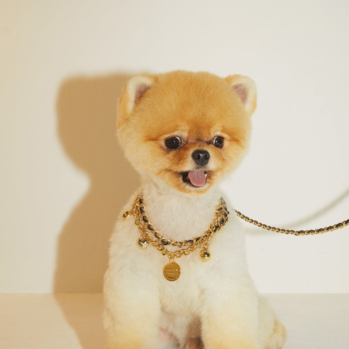 Golden Chain Lead