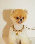 Golden Chain Lead