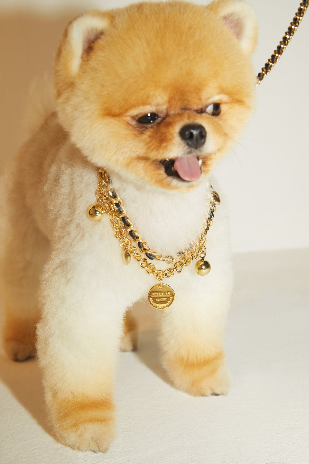 Golden Chain Lead