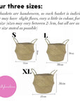 Green Dinosaur Basket - Small