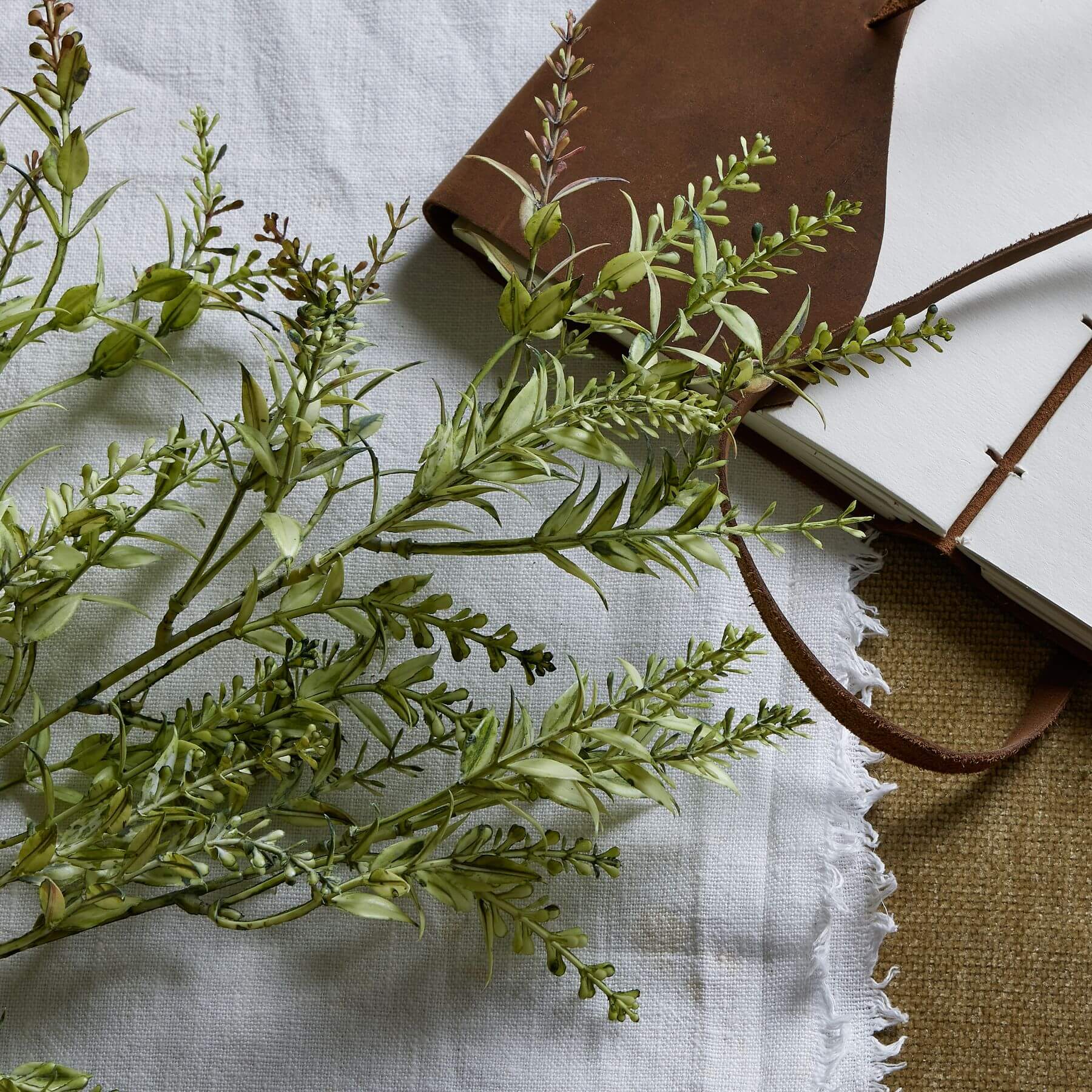 Natural green plastic broom stem, 75 cm tall with feathery strands for rustic floral arrangements and home decor. by sostter at brixbailey.com