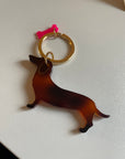 Dachshund Letterbox Gift