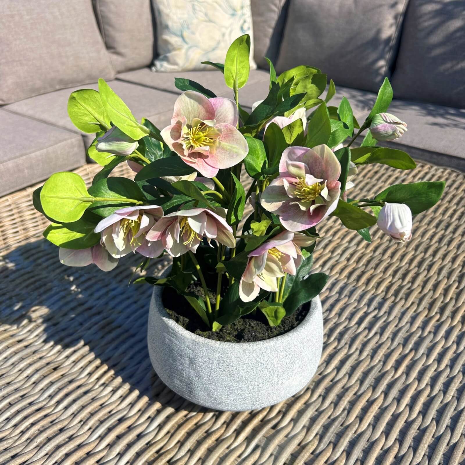 Faux Variegated Pink Hellebore in Ceramic Pot