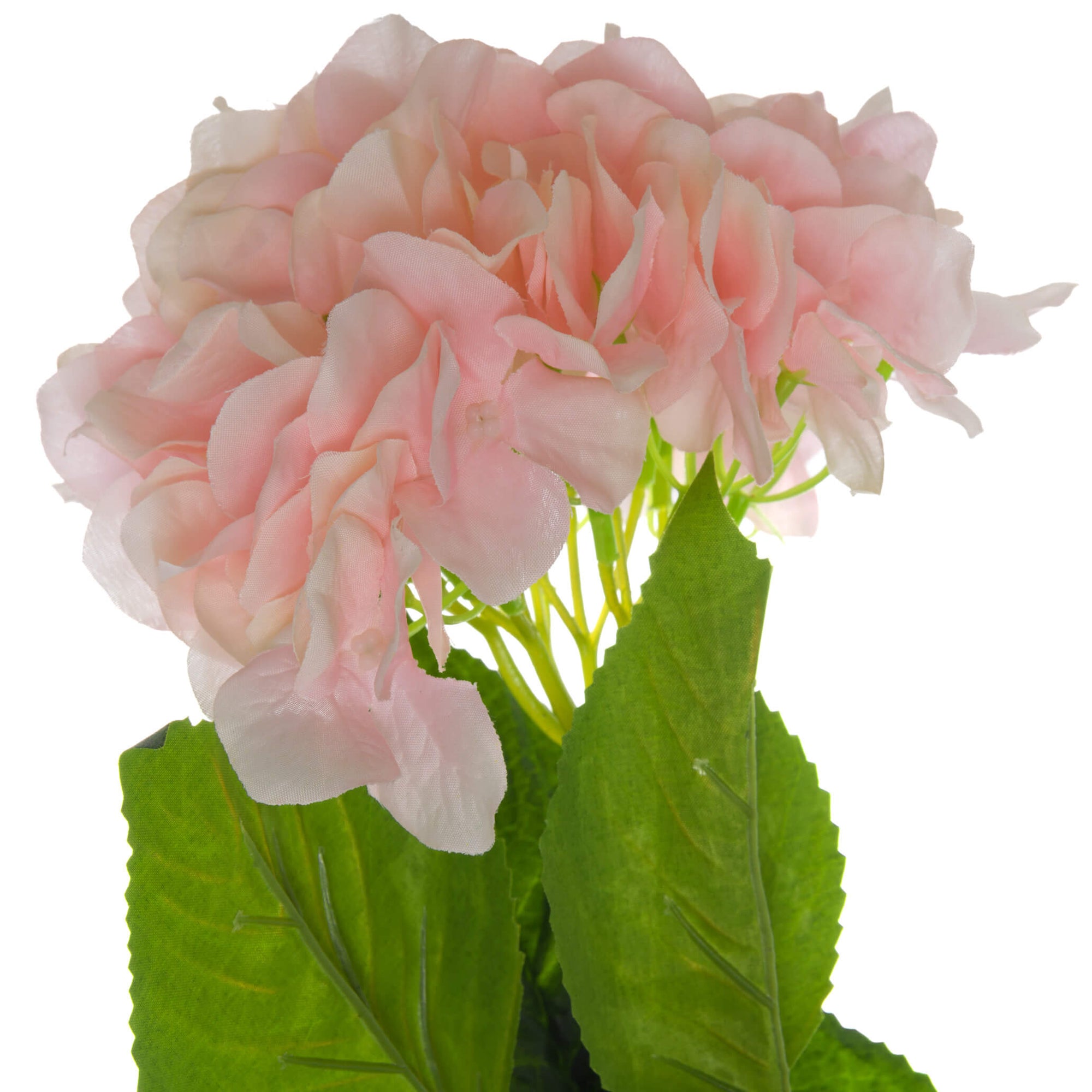 Luxury Pink Hydrangea | Elegant Single Stem