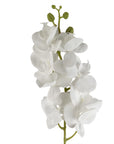 Artificial Flowers Phalaenopsis Orchid White Stem 100cm-4