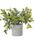 Small Faux Boxwood Plant in Grey Pot