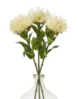 Luxury Cream Protea Lorea Stem | Elegant Floral Decor