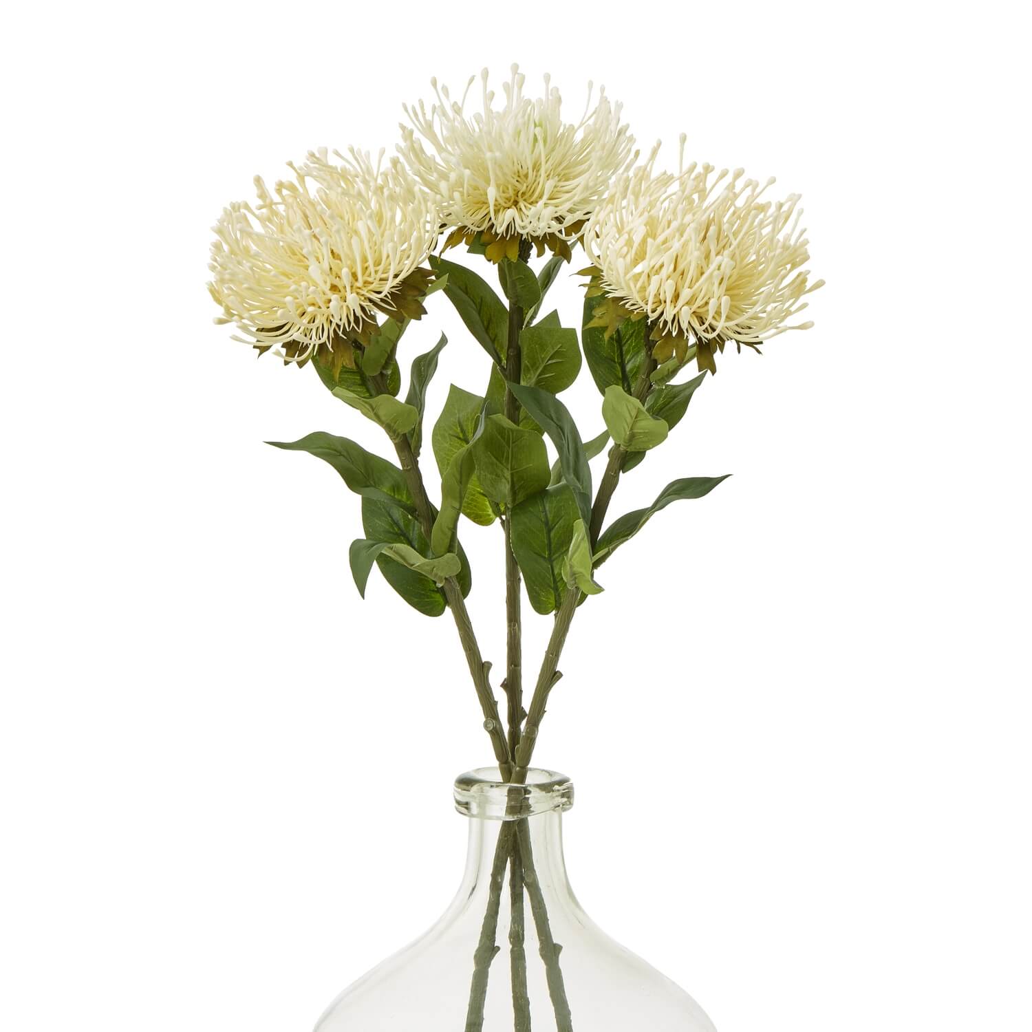 Cream Everlasting Protea Stem for Home Styling