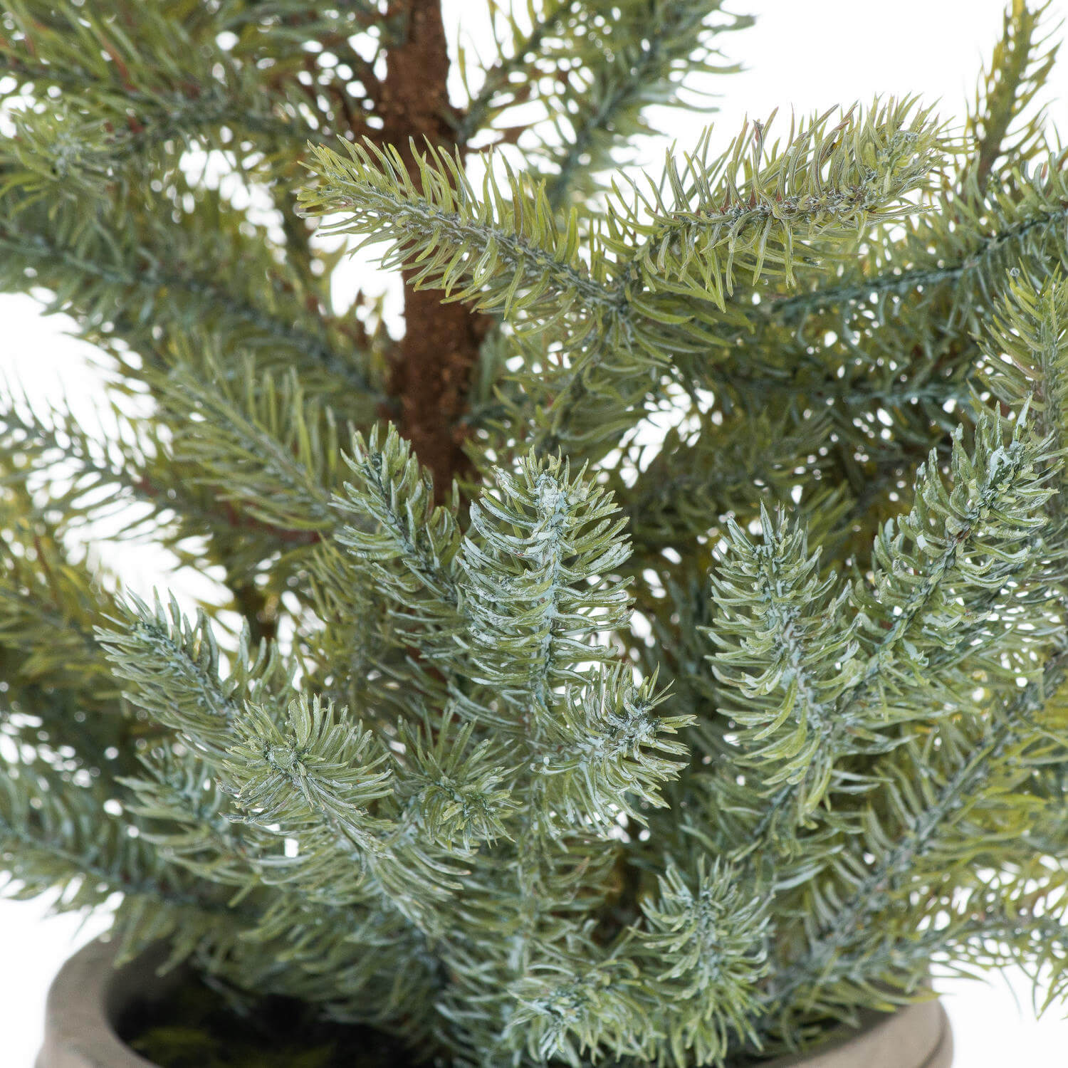 Elegant Garda Pine Tree in Stone Pot | Home Decor