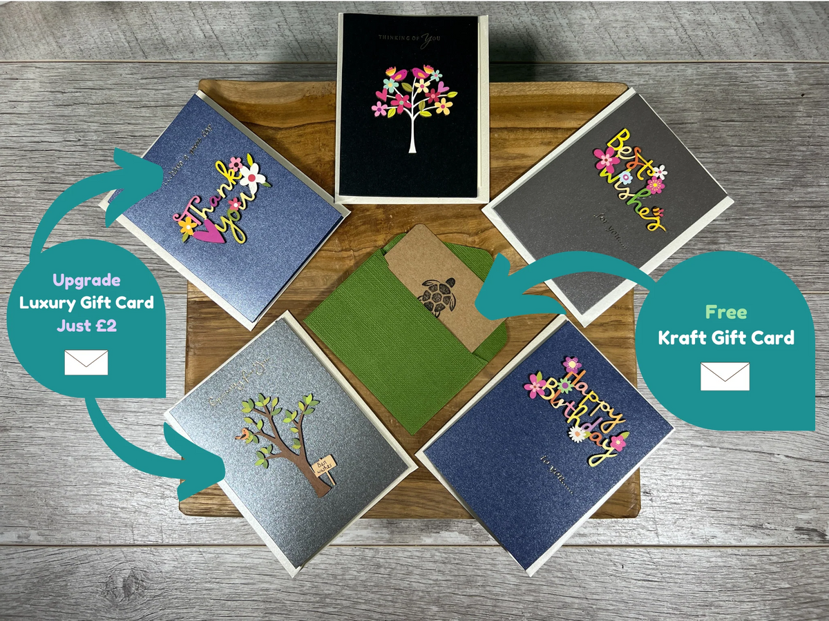 Plant Propagation Gift Set 