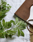 Soothing Faux Fennel Stem for Natural Home Style