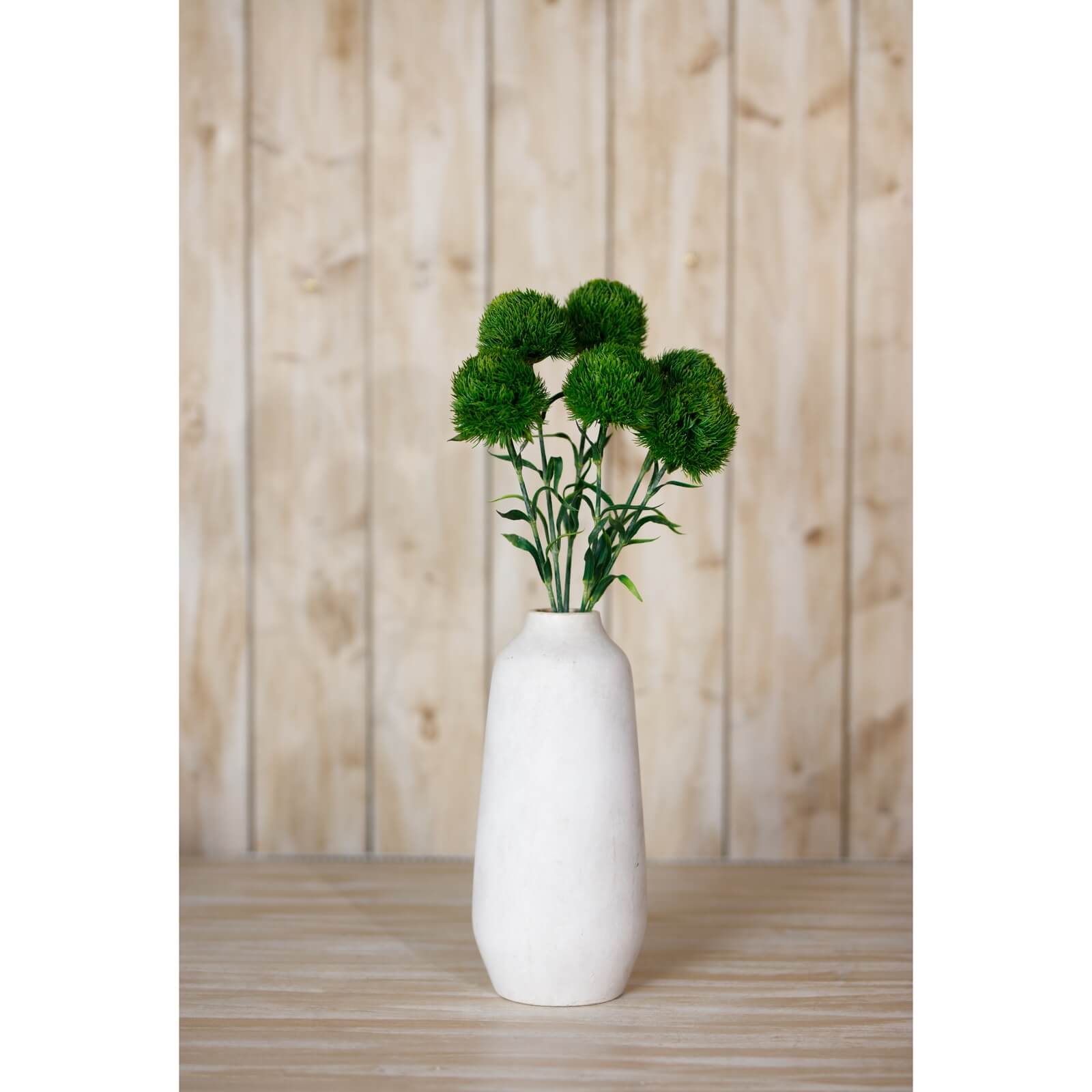 Lush Dark Green Dianthus Stem | Fresh Floral Elegance
