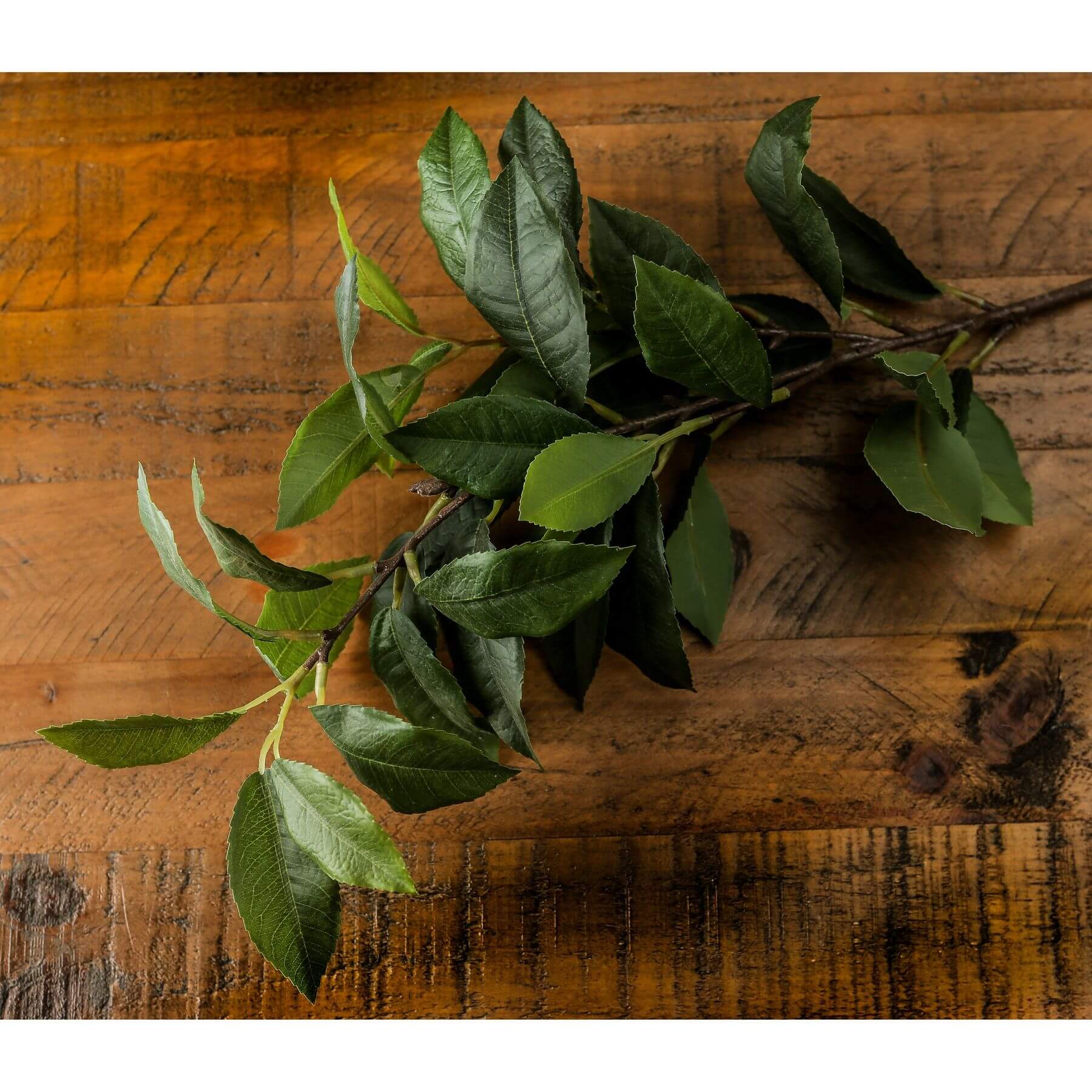 Elegant Laurel Leaf Greenery Spray | Natural Decor