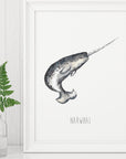 Narwhal art print from original watercolour artwork