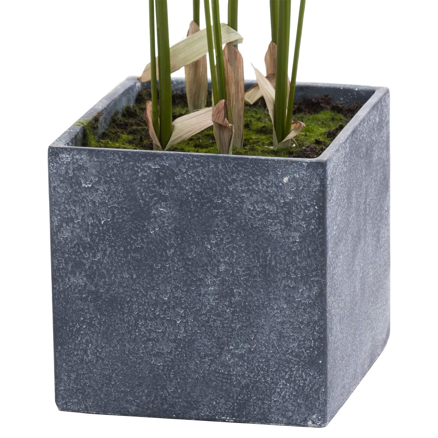 Large Paradise Palm Faux Indoor Plant for Effortless Tropical Style