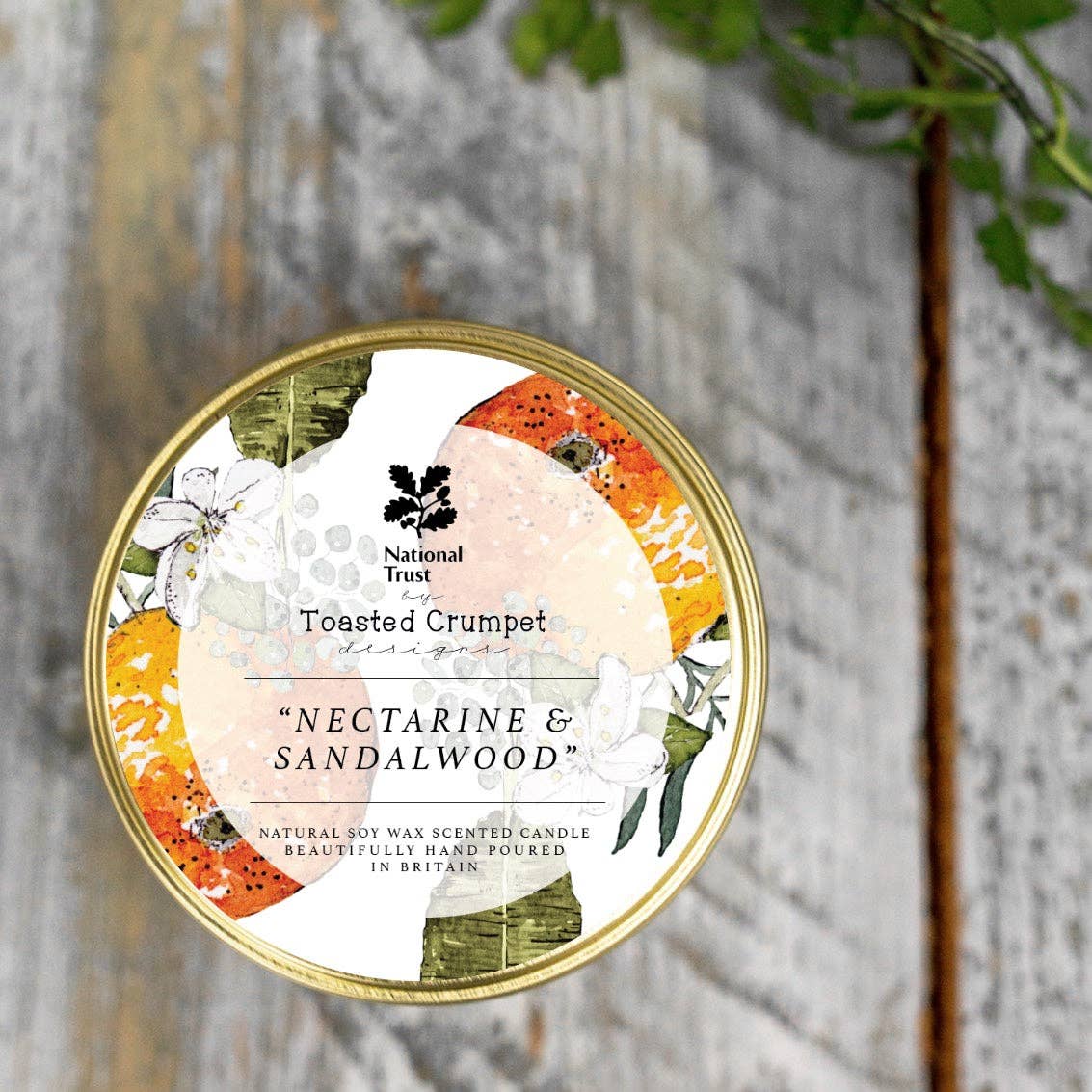 Nectarine &amp; Sandalwood Candle in a Matt Gold Tin
