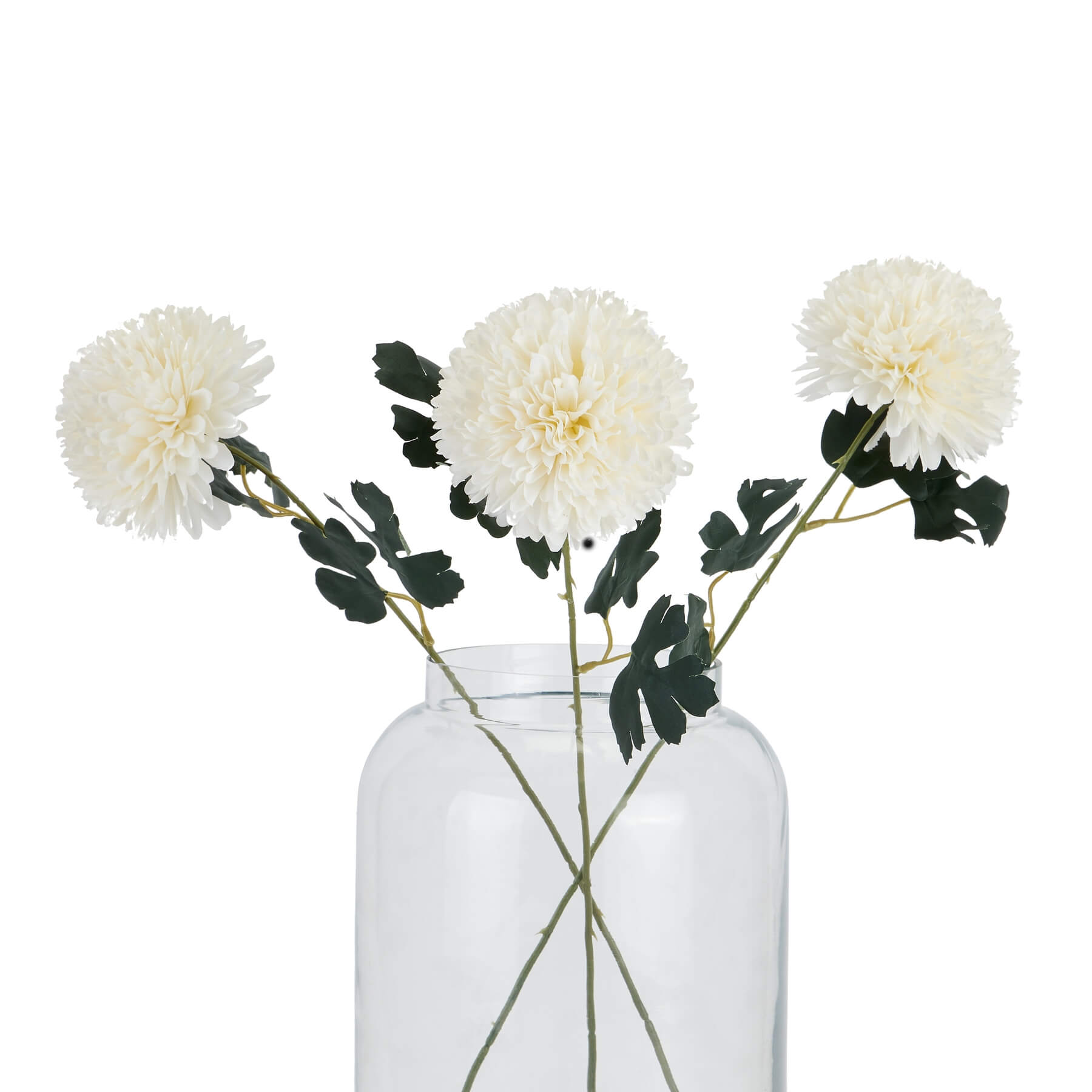 Soothing White Chrysanthemum Stem