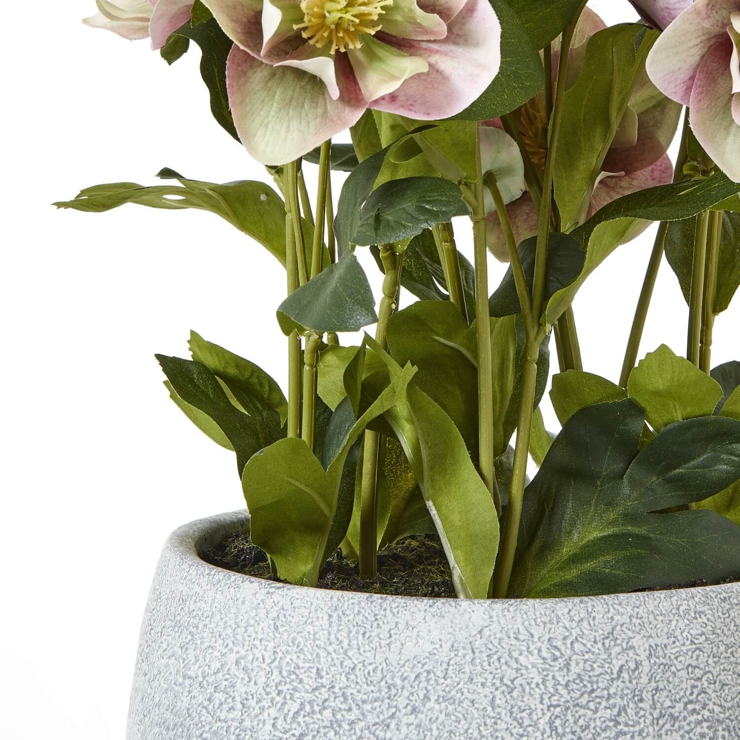 Faux Variegated Pink Hellebore in Ceramic Pot