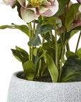 Faux Variegated Pink Hellebore in Ceramic Pot