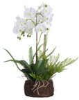 Lifelike white orchid arrangement with bamboo supports, rustic rootball base, and lush ferns for natural home decor. by sostter at brixbailey.com