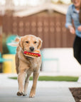 American Classic Hot Dog Enrichment Toy