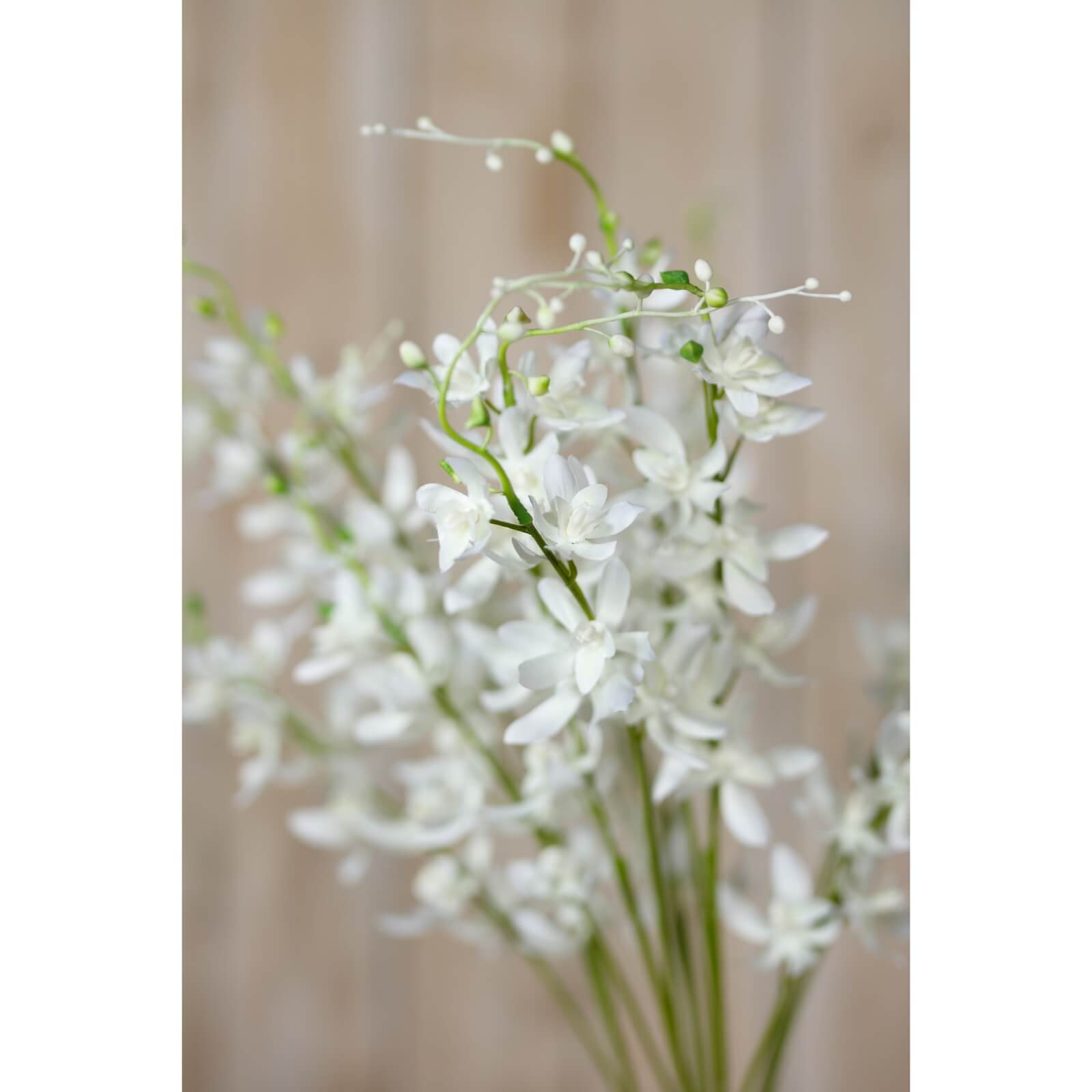 Elegant White Cymbidium Orchid Spray | Fresh Floral Beauty