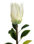 Pack of 6 x 65cm Protea Sugarbush Flower Stem - White-4