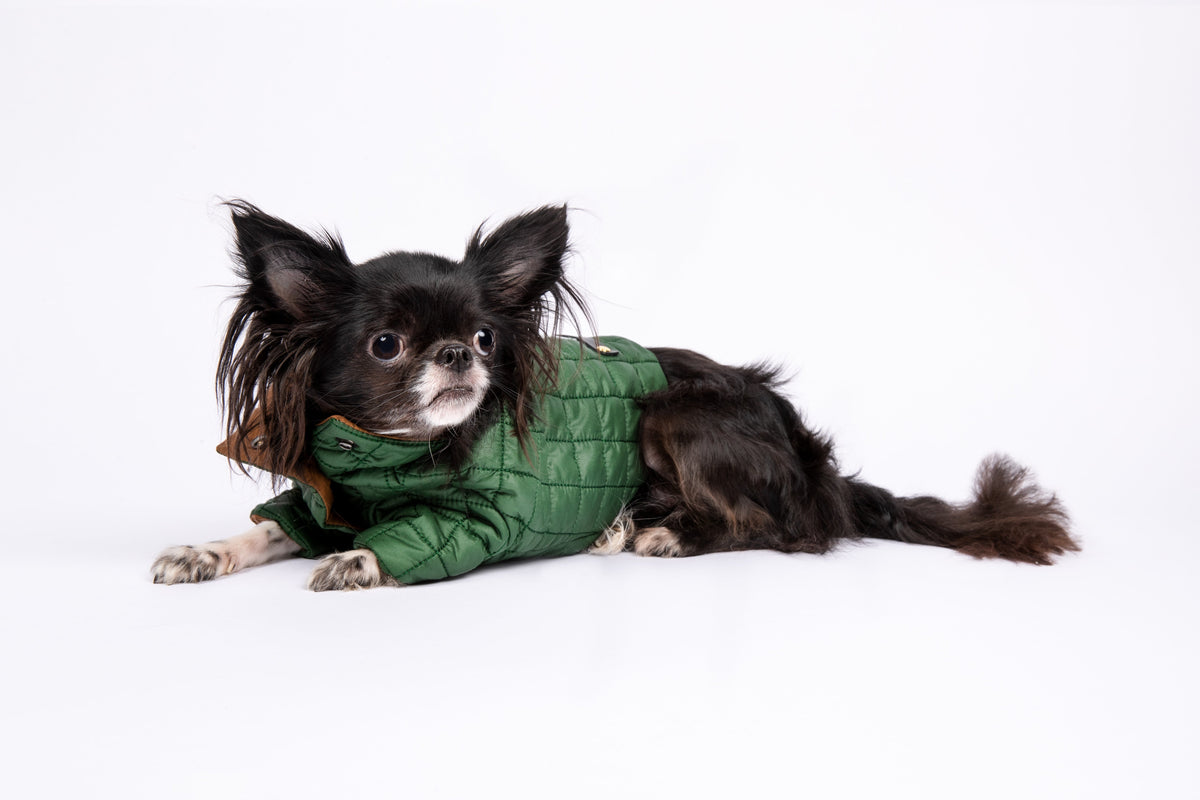 You are not alone Puffer Jacket