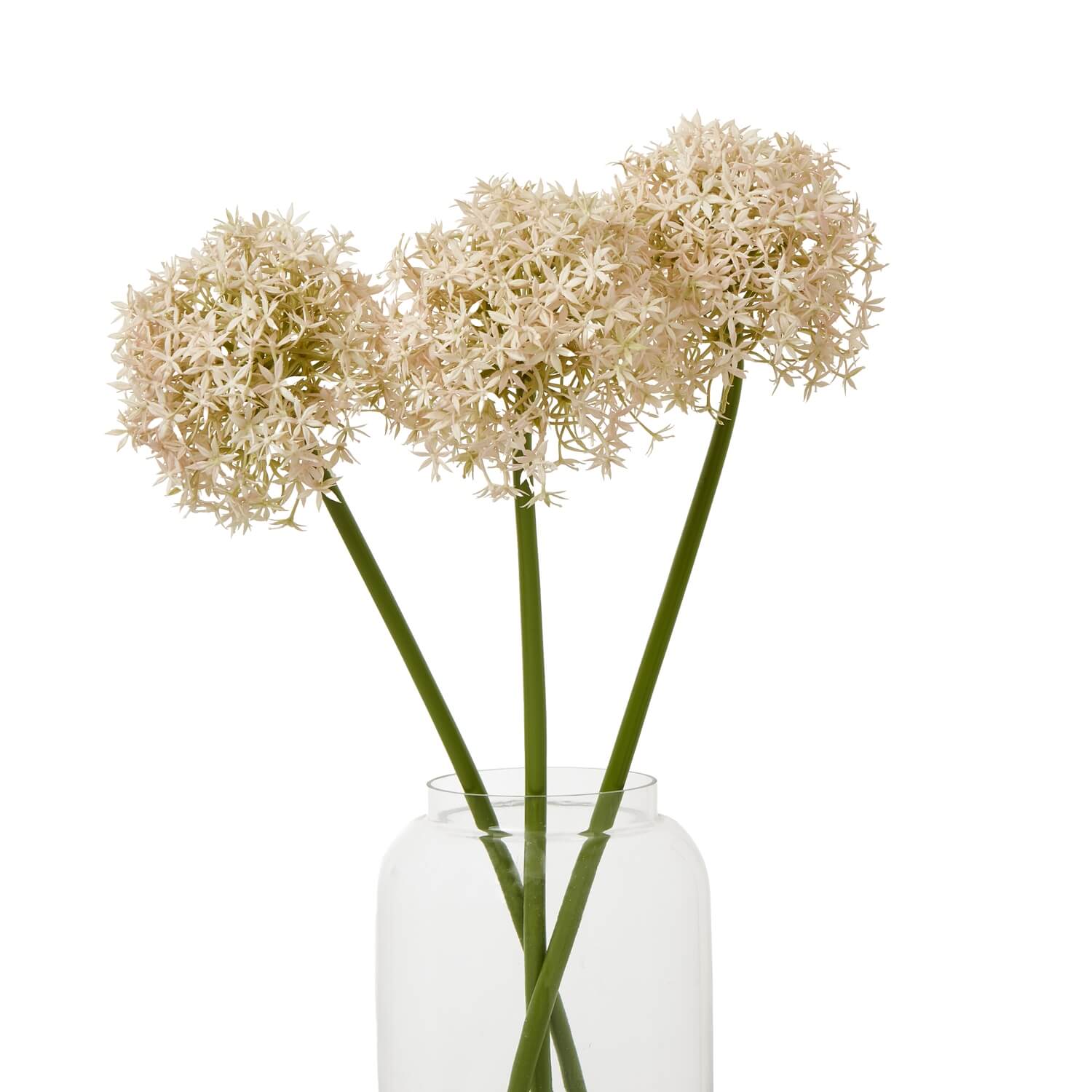 Pink Allium Stem Medium Floral Accent