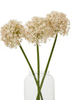 Pink Allium Stem Medium Floral Accent
