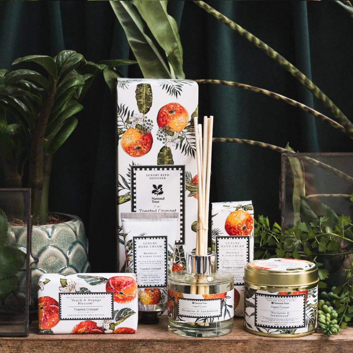 Nectarine &amp; Sandalwood Candle in a Matt Gold Tin