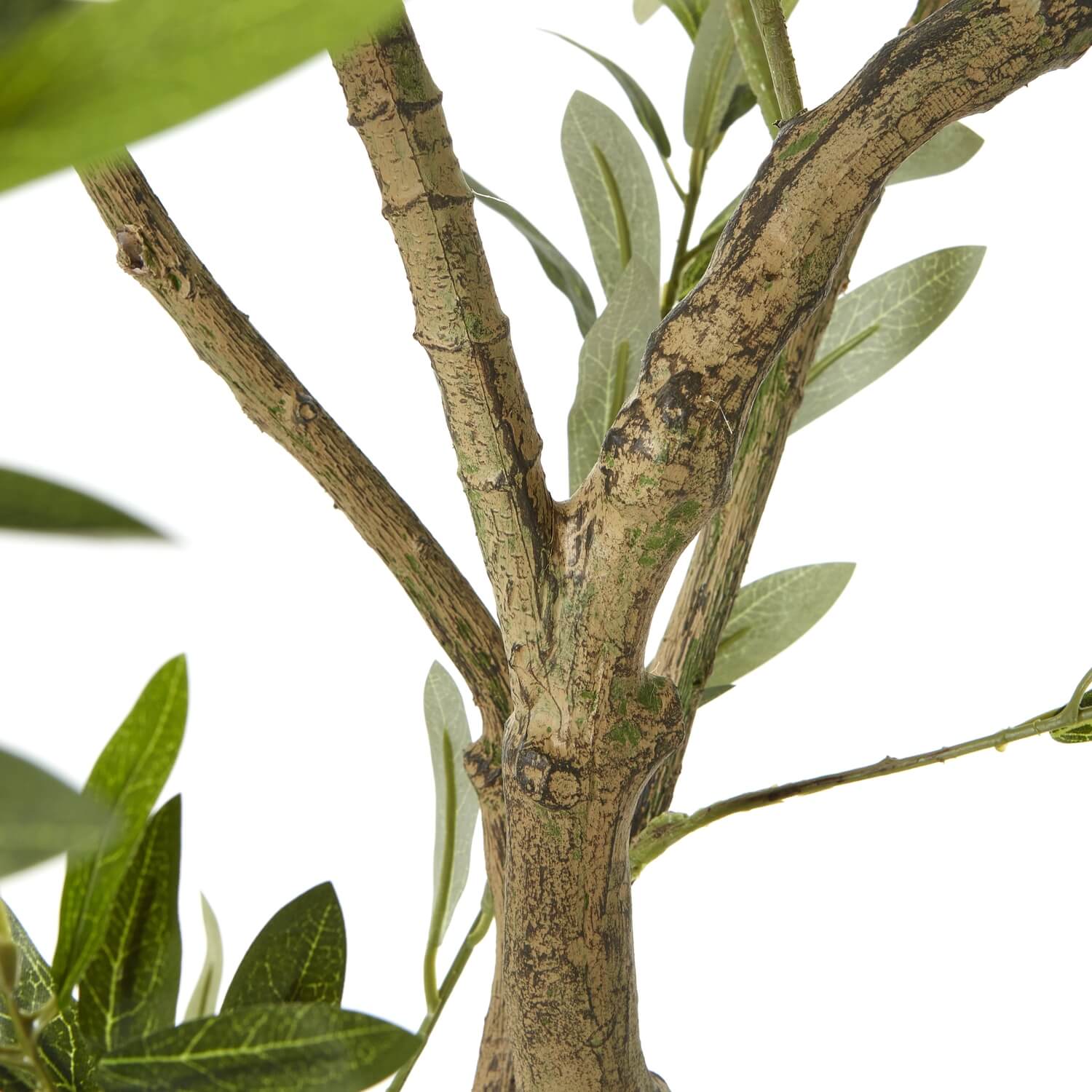 Mediterranean Style 200cm Olive Tree with White Pot