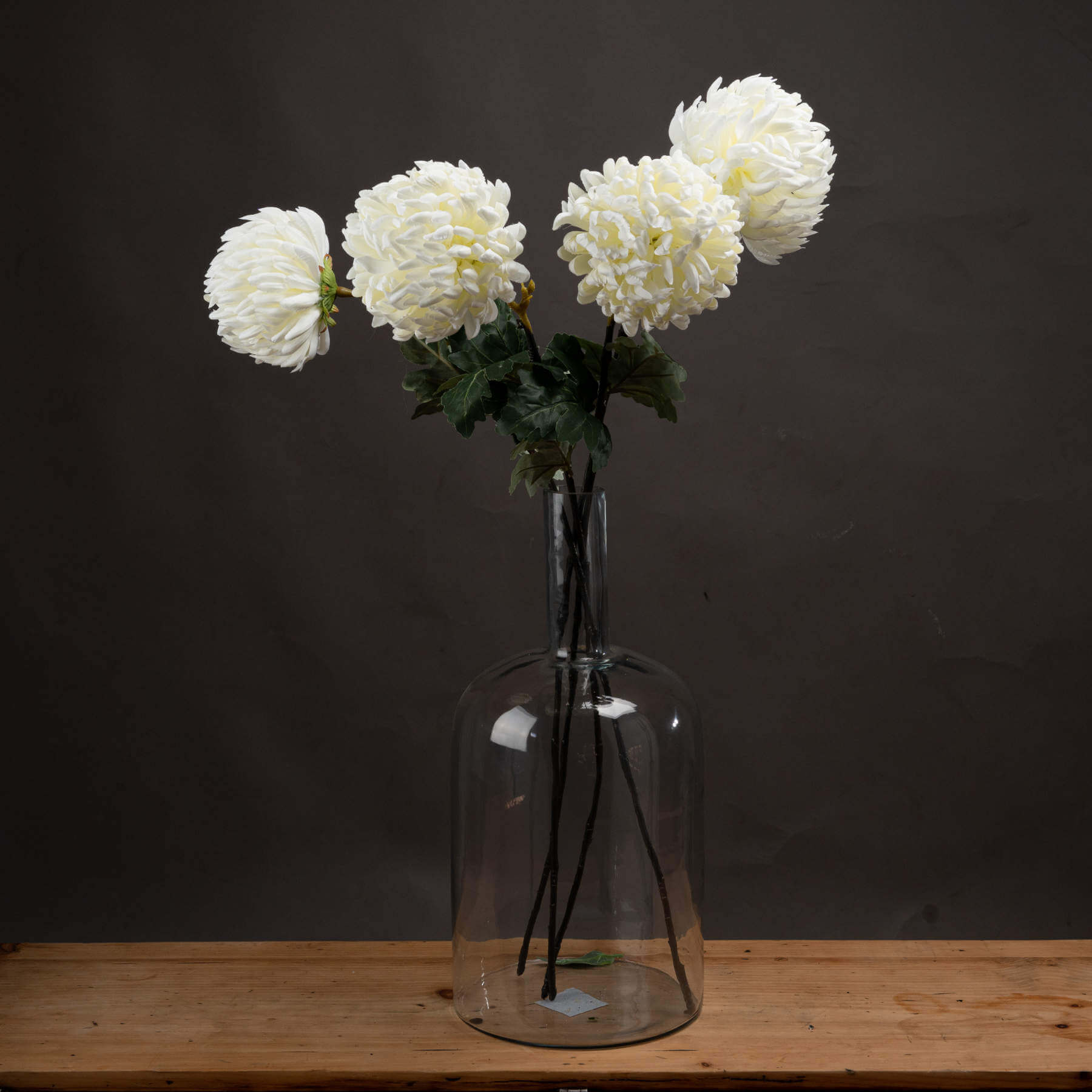 Premium White Chrysanthemum Blooms | Elegant &amp; Fresh