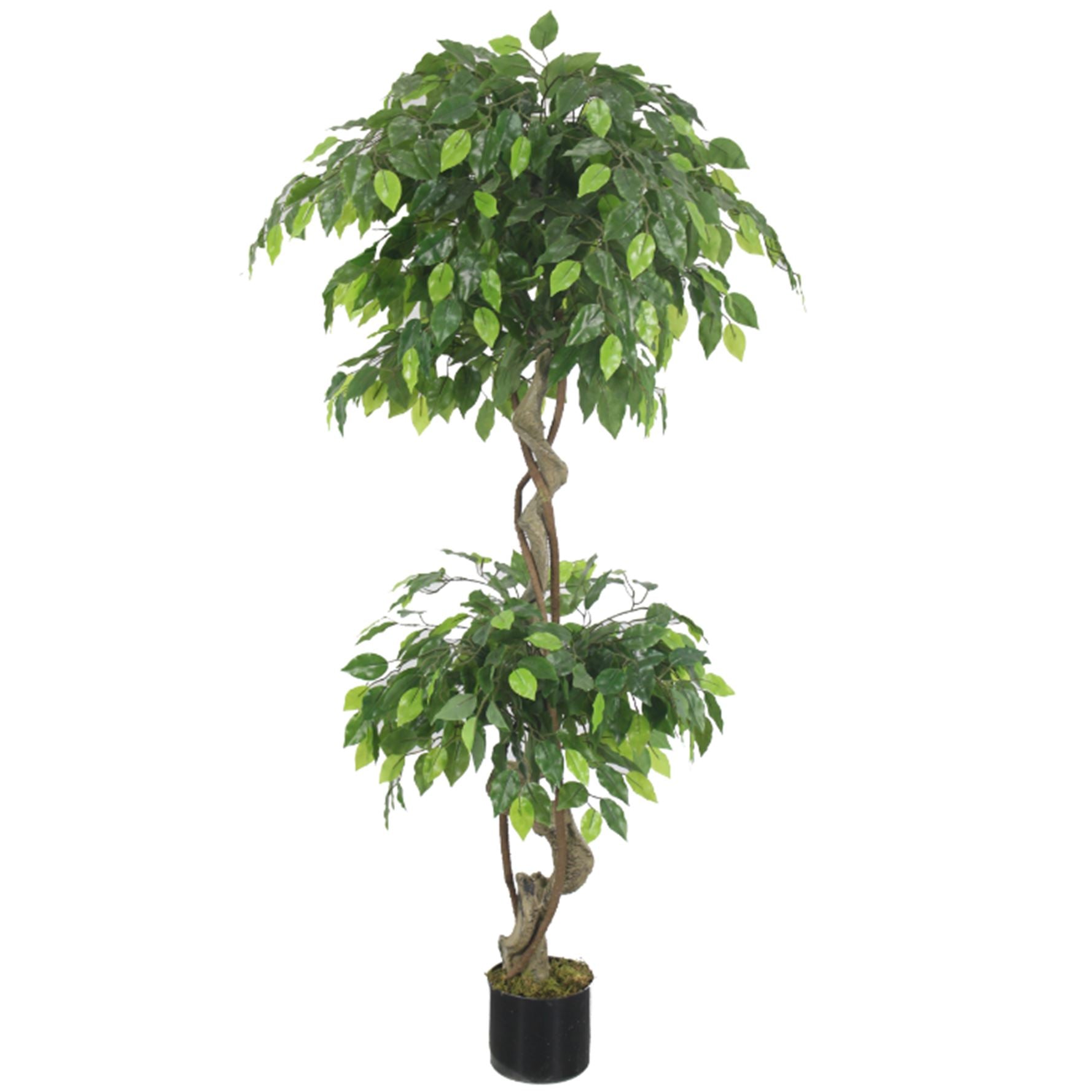 Artificial Twisted Ficus Tree Plants 150cm-0