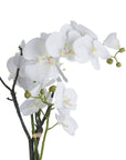 Lifelike white faux orchid in rustic stone pot, 70cm tall with realistic blooms and soil detailing for elegant home decor. by sostter at brixbailey.com